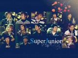 sj