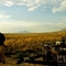 large_xm9I_1990g200065[1]