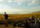 large_xm9I_1990g200065[1]