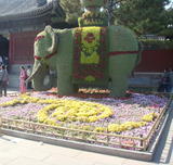 DSC01954_调整大小