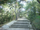 DSC01971_调整大小