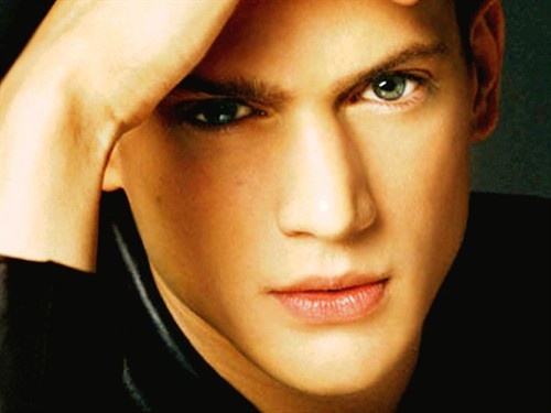 文特沃斯·米勒 Wentworth Miller