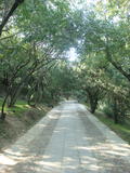 DSC01972_调整大小