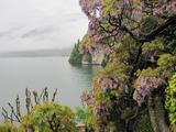 IMG_0660