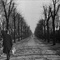 third man