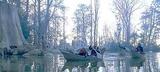 lothlorien9