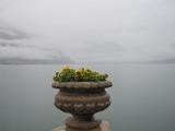 IMG_0647