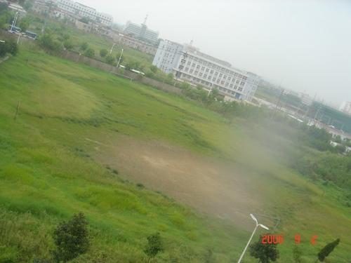 鱼