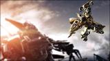 Focus on Bumblebee