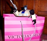 Jazz digs the VS ladies~