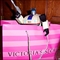 Jazz digs the VS ladies~