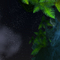 WoWScrnShot_080808_011239
