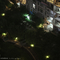 A night through my window