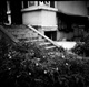 p299071081
