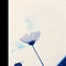 ad2f063baa1c18fd14cecb12