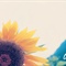 83f8540f303b063d6159f3eb