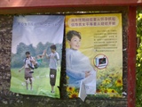 计划生育宣传画