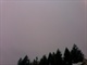 IMG0264A