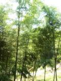 large_3mmT_7387f132090