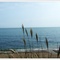 DSCF0895
