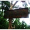DSCF0954