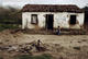 200530055-001