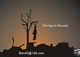 dying in the sun-3