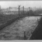 photo46