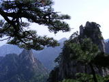 DSCF0486