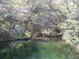DSCF0505