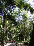 DSCF0677