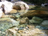 DSCF0684