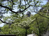 DSCF0602