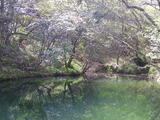 DSCF0506