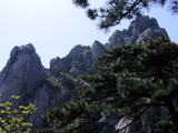 DSCF0646