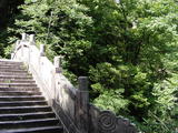 DSCF0698