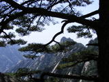 DSCF0625