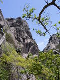 DSCF0600