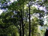 DSCF0678