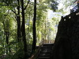 DSCF0679