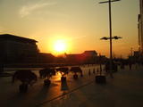 DSCF3680