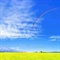 large_2646c66