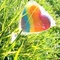large_mfry_2552b132093