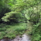 stream