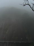 雾中的三清山