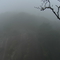 雾中的三清山