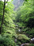 stream2