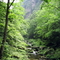 stream2