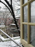 window