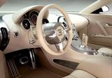 Bugatti Veyron 16.4 2